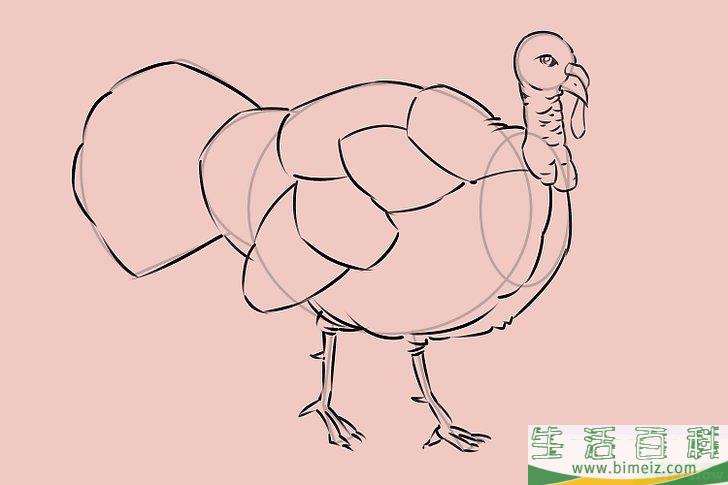 怎么画一只火鸡