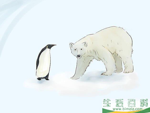 怎么画动物