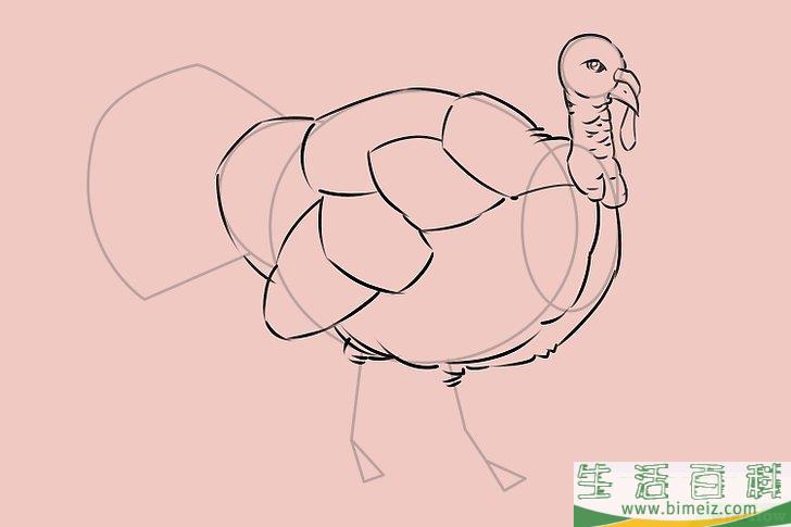 怎么画一只火鸡