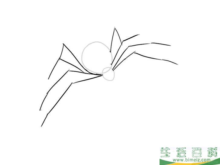 怎么画蜘蛛