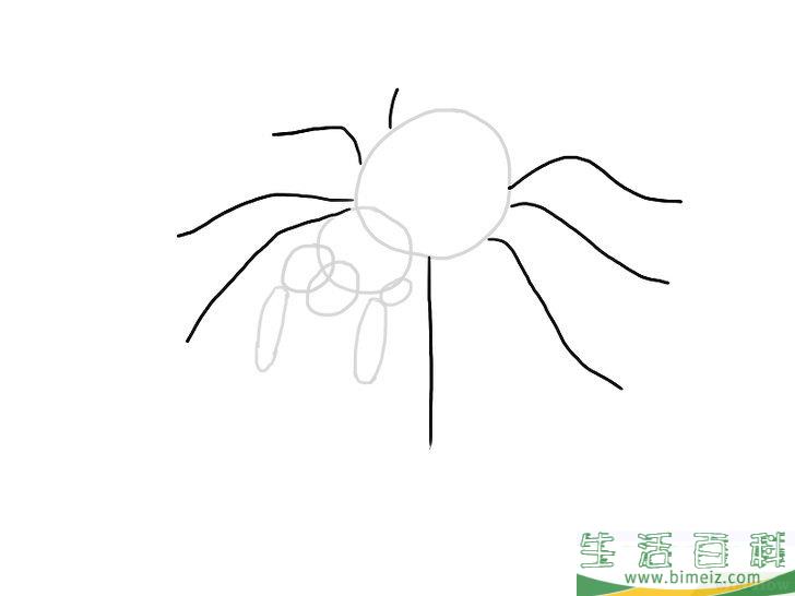 怎么画蜘蛛