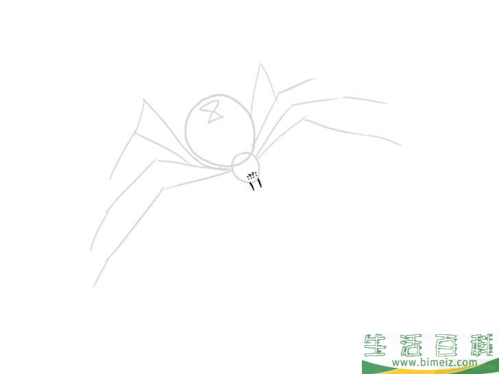 怎么画蜘蛛