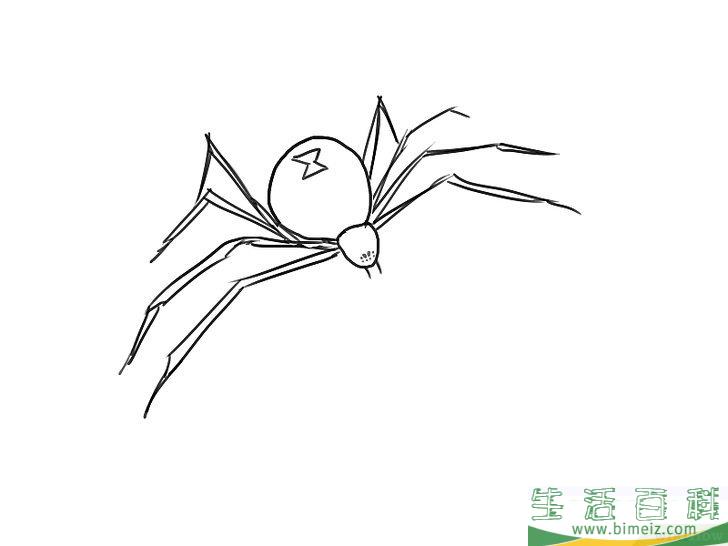 怎么画蜘蛛