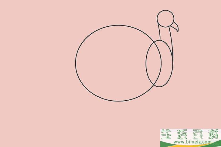 怎么画一只火鸡