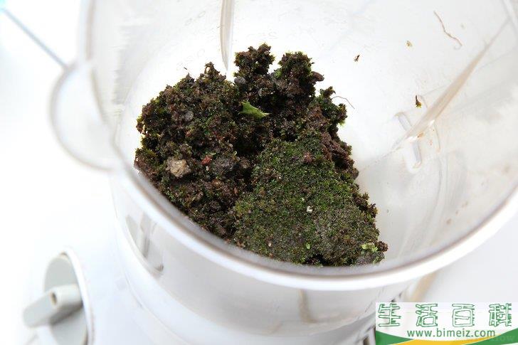 怎么创作苔藓涂鸦