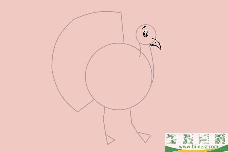 怎么画一只火鸡