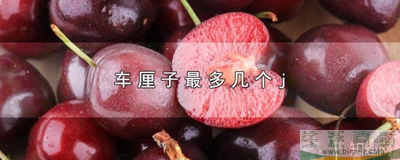 车厘子最大是几个j(车厘子几个J代表什么意思) 车厘子最大是几个j(车厘子几个J代表什么意思)