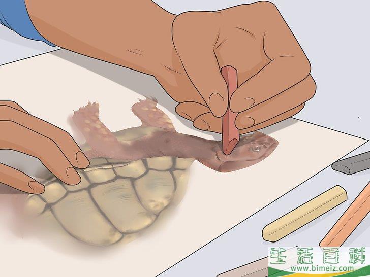 怎么提升自己的美术技能