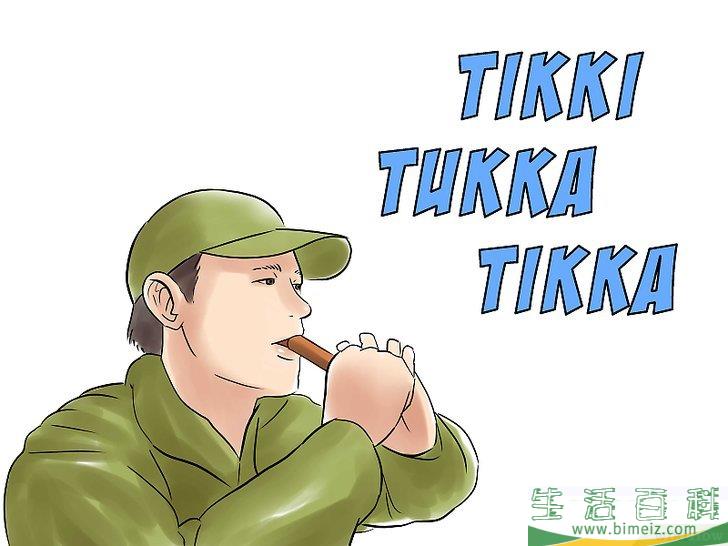 怎么诱捕鸭子（使用鸭哨）