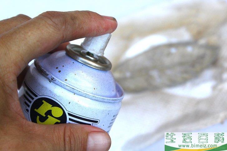 怎么制作叶脉标本