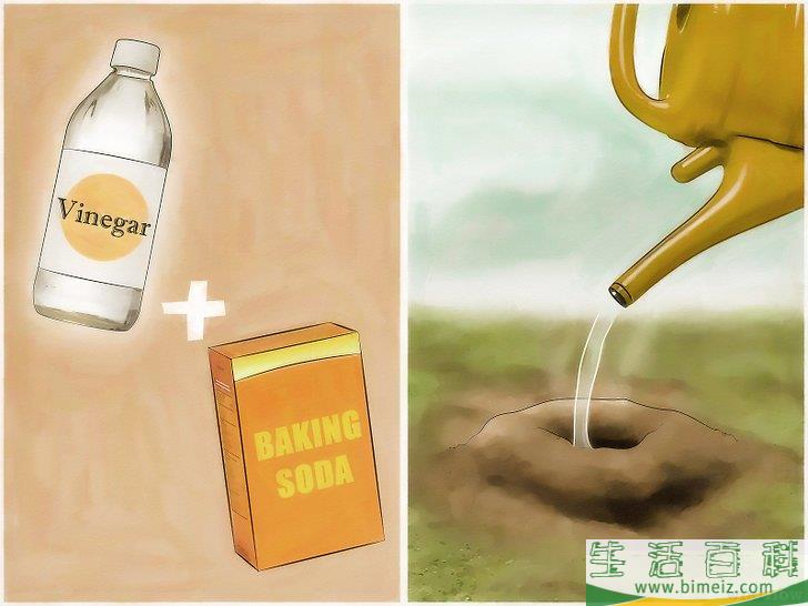 怎么消灭火蚁