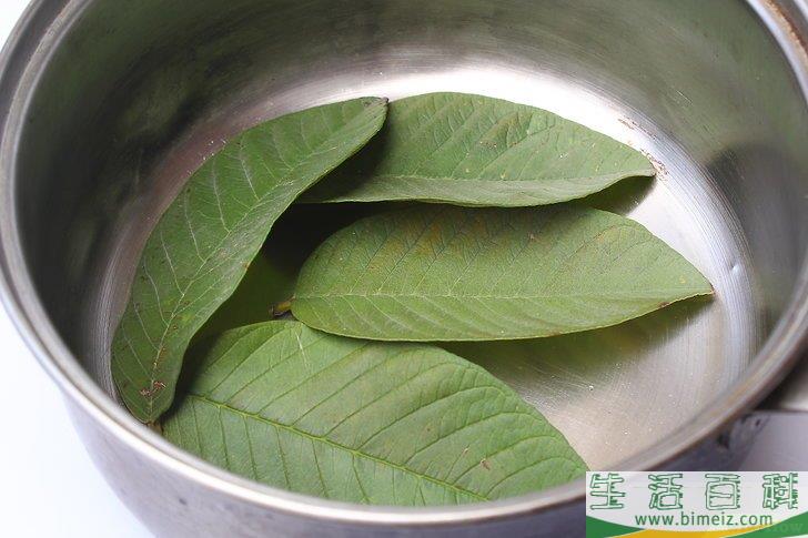 怎么制作叶脉标本
