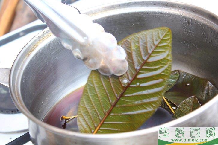 怎么制作叶脉标本