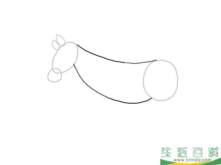 怎么画斑马