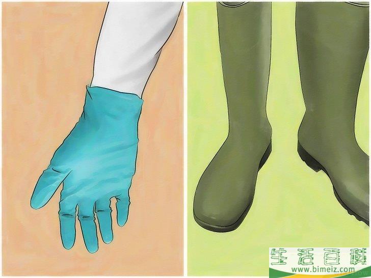 怎么消灭火蚁