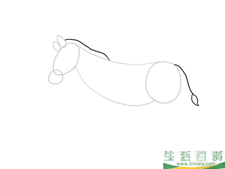 怎么画斑马