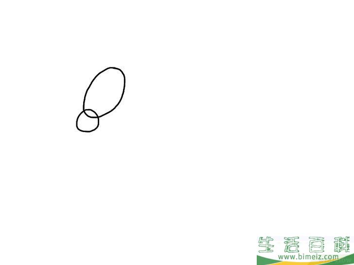 怎么画斑马