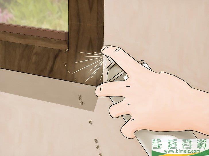 怎么消灭火蚁