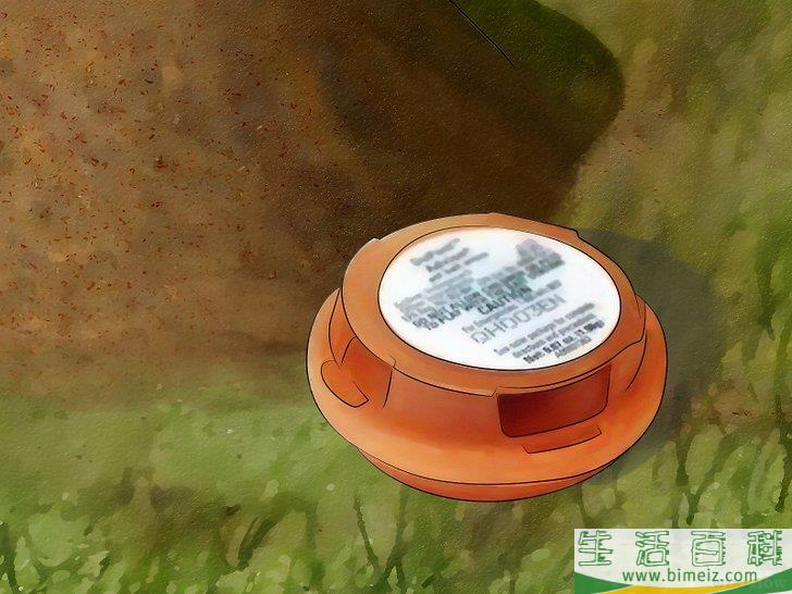 怎么消灭火蚁