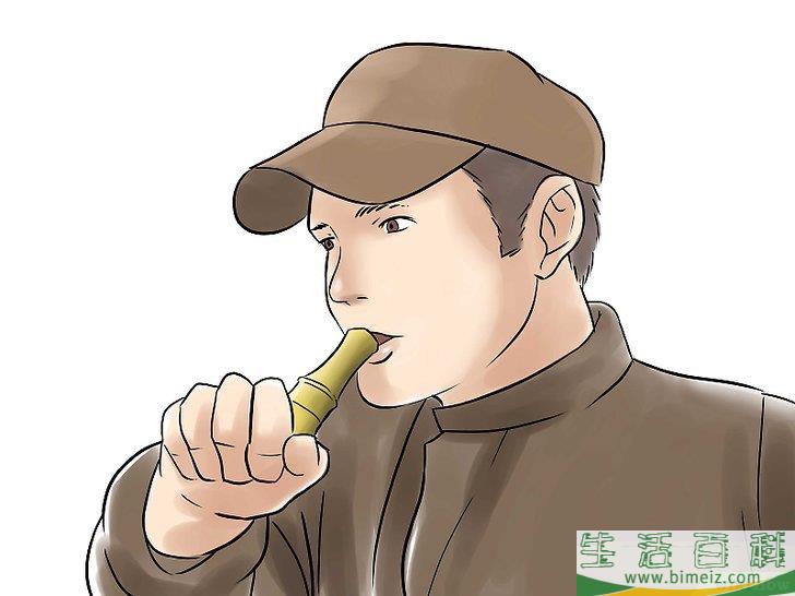 怎么诱捕鸭子（使用鸭哨）