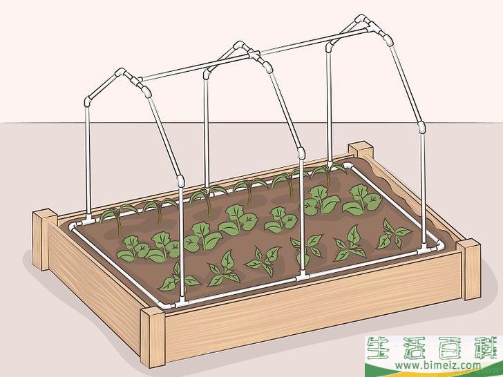 怎么制作一个迷你温室