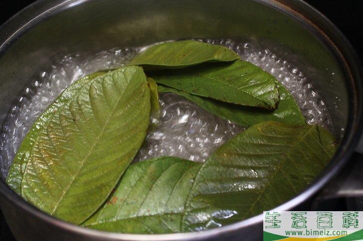 怎么制作叶脉标本