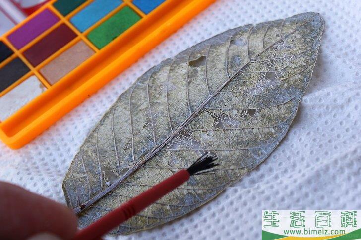怎么制作叶脉标本