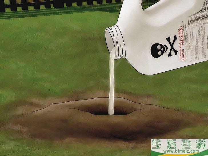 怎么消灭火蚁