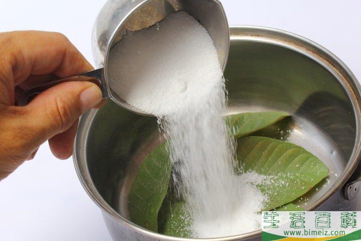 怎么制作叶脉标本