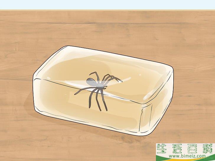 怎么用皂基制作肥皂
