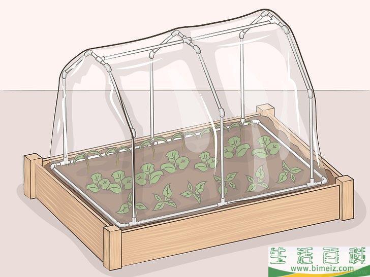 怎么制作一个迷你温室