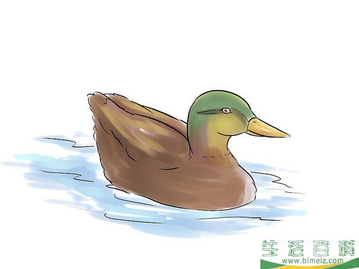 怎么诱捕鸭子（使用鸭哨）