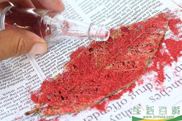 怎么制作叶脉标本
