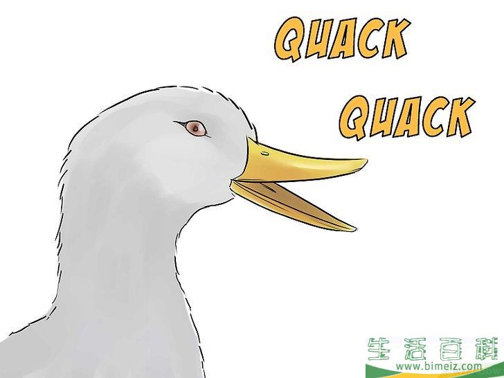 怎么诱捕鸭子（使用鸭哨）