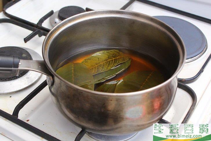 怎么制作叶脉标本
