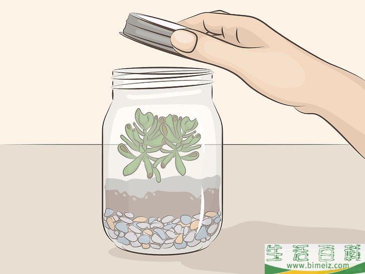 怎么制作一个迷你温室