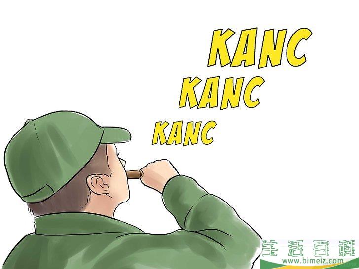 怎么诱捕鸭子（使用鸭哨）