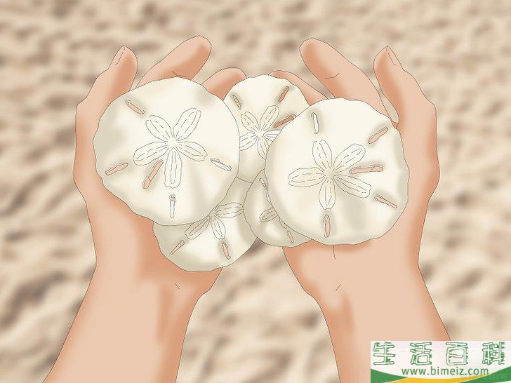 怎么清洗和保存沙钱