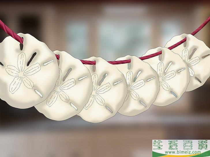 怎么清洗和保存沙钱