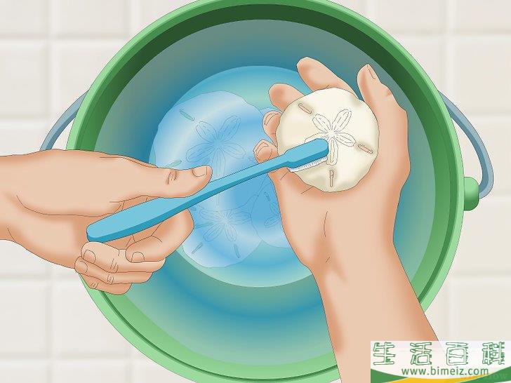 怎么清洗和保存沙钱