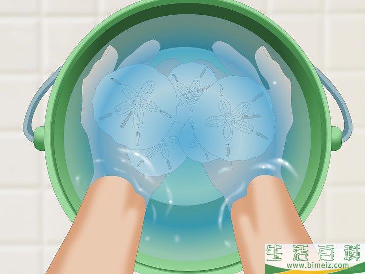 怎么清洗和保存沙钱
