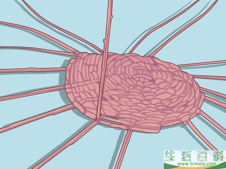 怎么织一个篮子