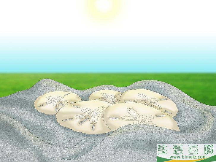 怎么清洗和保存沙钱