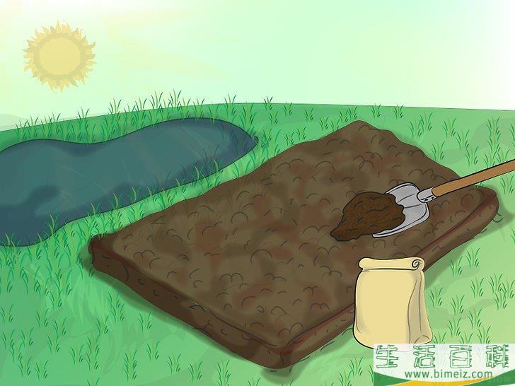 怎么种植野花