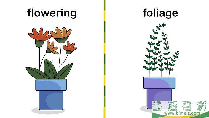 怎么种植室内盆栽