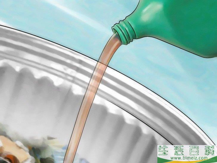 怎么杀光蝇蛆