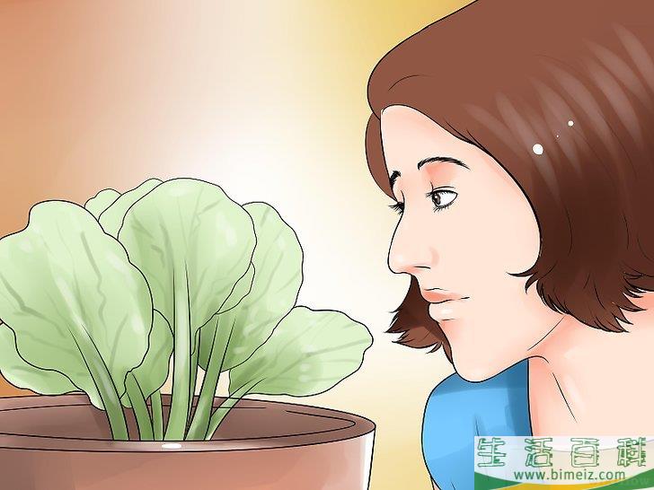 怎么选择给花园浇水的最佳时间