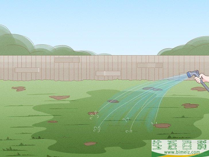 怎么除去莎草