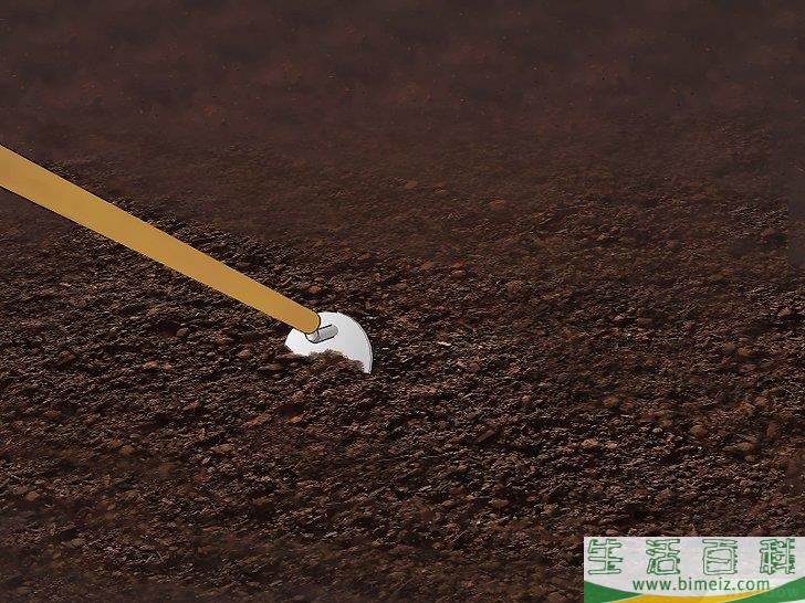 怎么种植豆类和豌豆