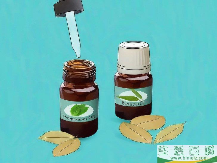 怎么杀光蝇蛆